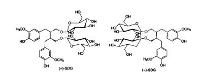 亞麻籽提取物2 亞麻籽提取物2.png